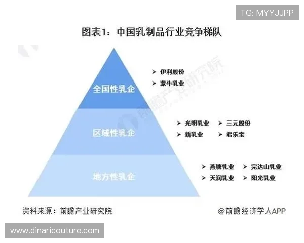 深入解读凯时k66在行业中的竞争优势与战略布局